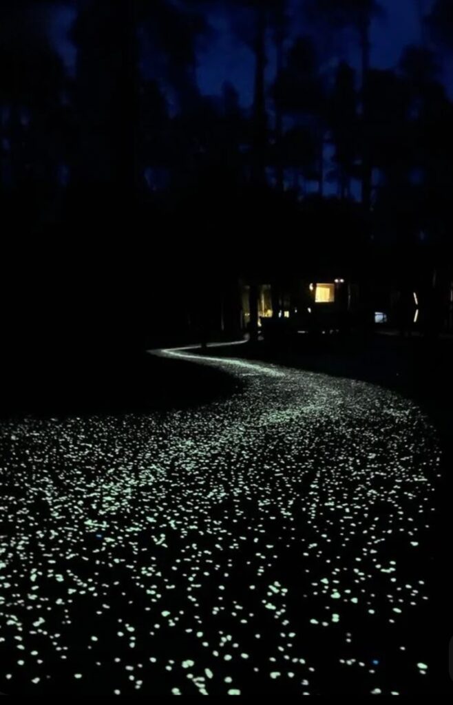 Béton imprimé Montpellier - plage de piscine imitation bois